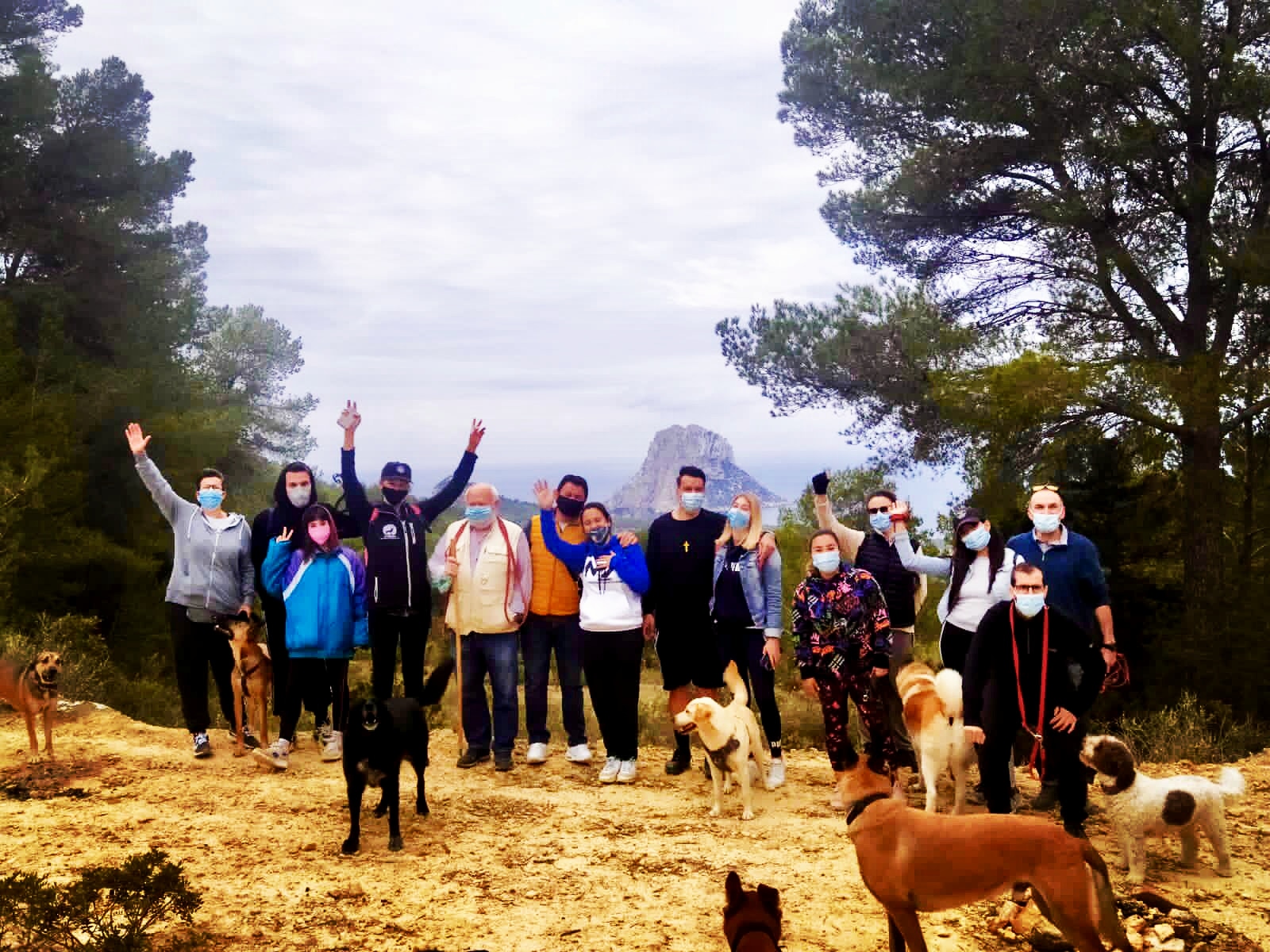 Socialización de perros en Ibiza