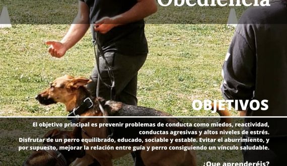 Curso Educación canina y Mejora de la obediencia