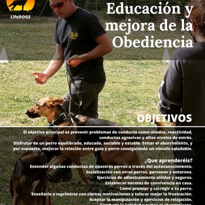 Curso Educación canina y Mejora de la obediencia